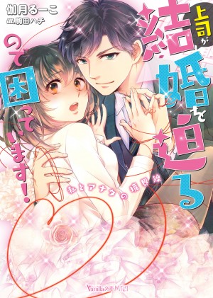 VBL117_cover