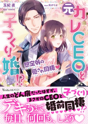 web_vbl210_cover-obi
